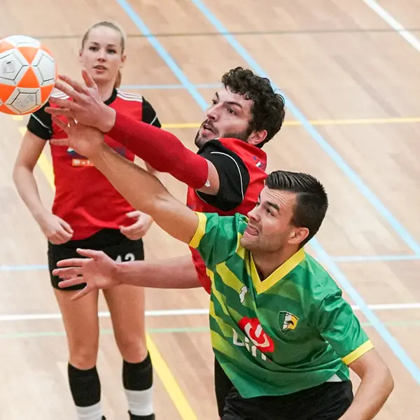 haagsekorfbaldagen.nl