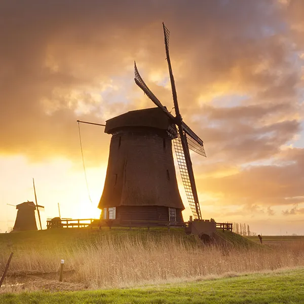 netherlandsprivatetours.com